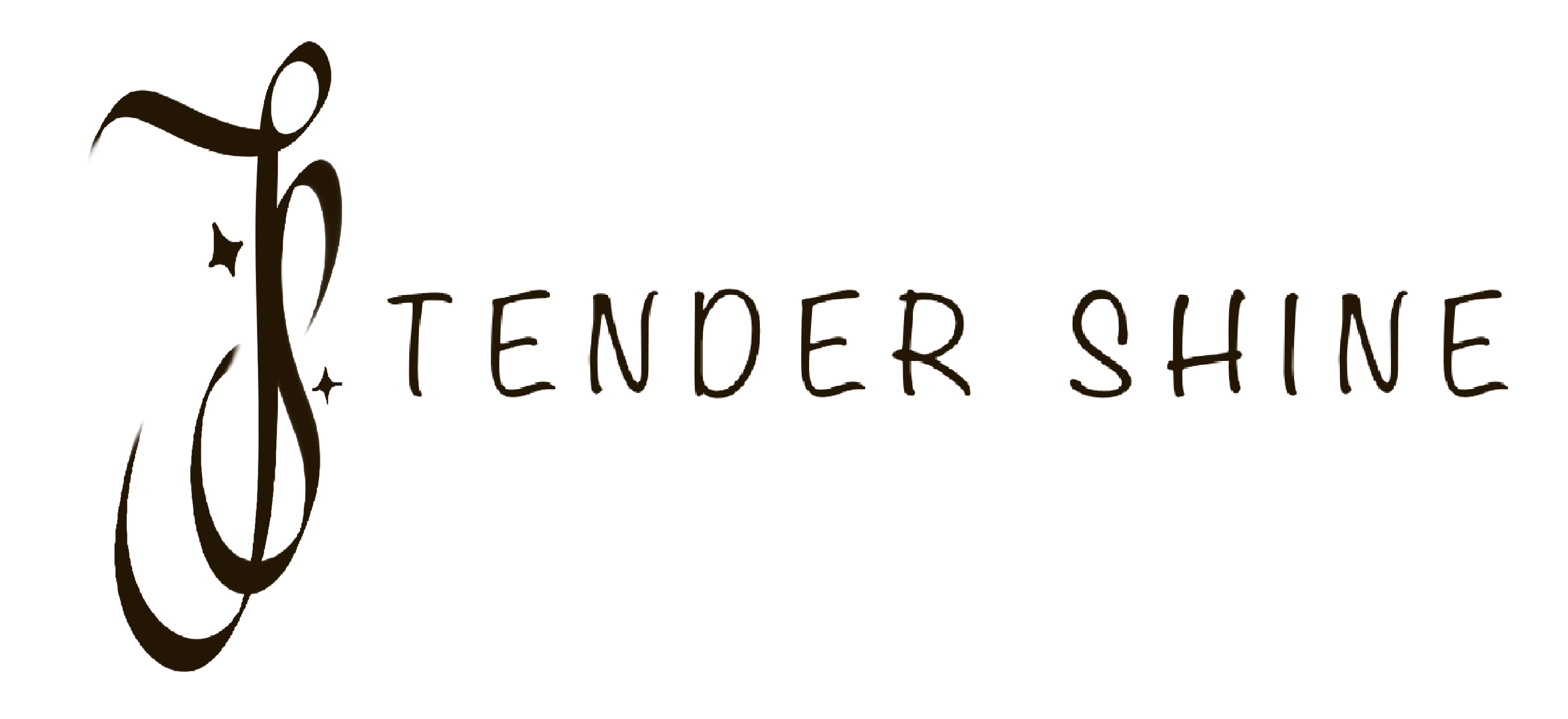 tender shine studio