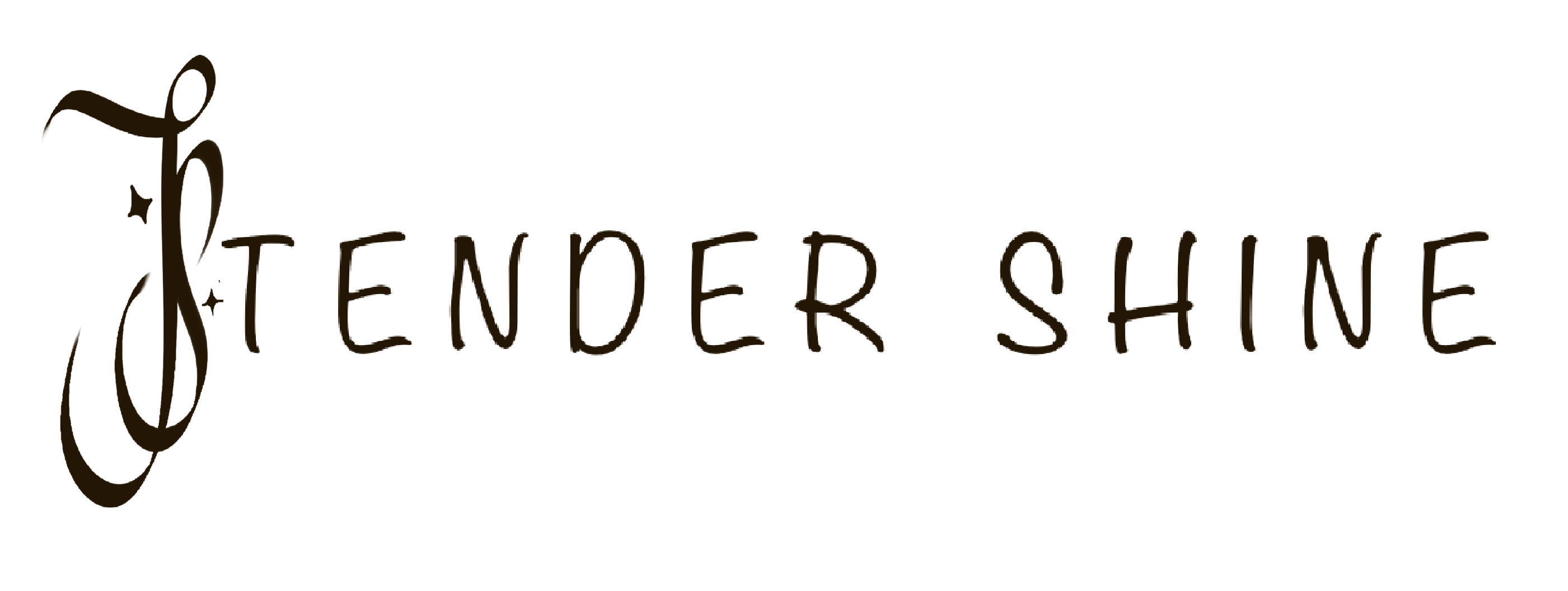 tender shine studio
